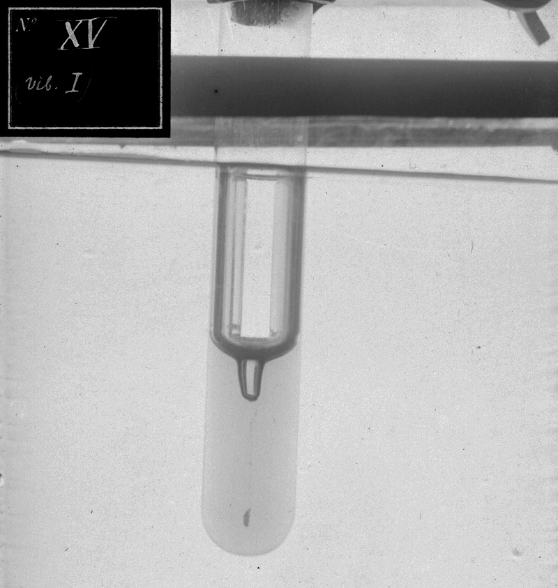 photo d'un tube à essai aayant servi au labo  